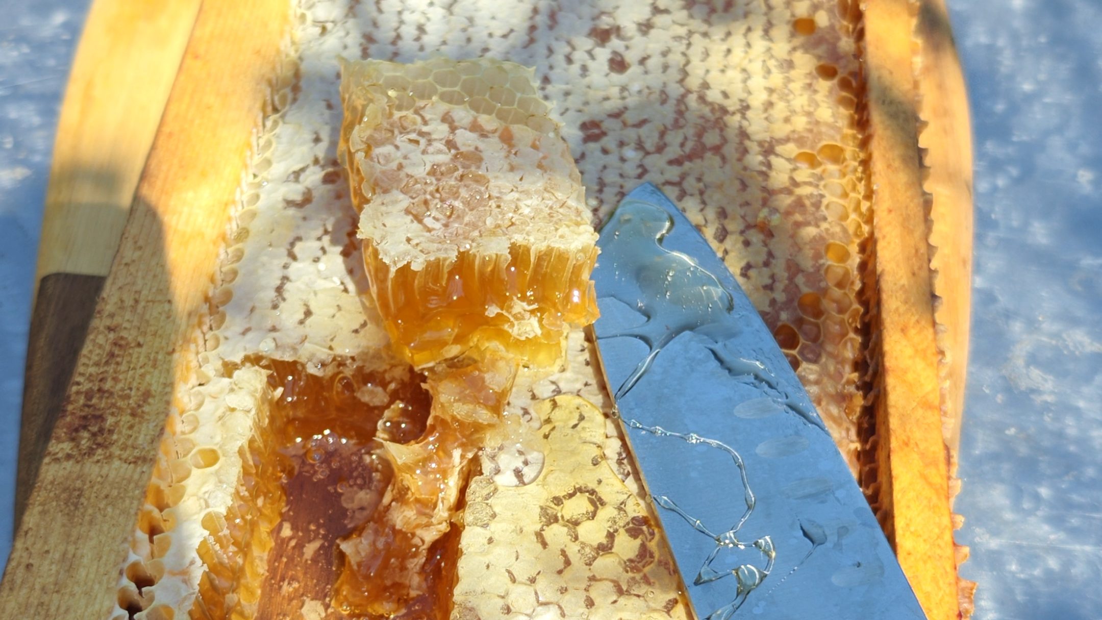 Honey Guide: Types, Real vs Fake